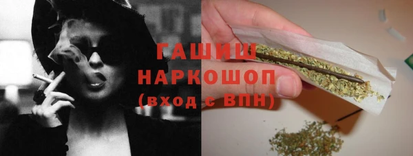 хмурый Нестеровская