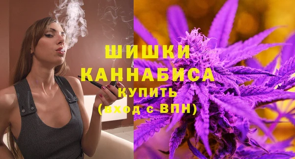 МДПВ Горно-Алтайск
