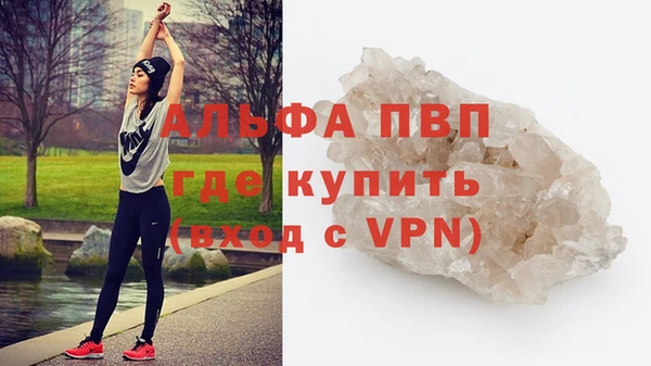 PSILOCYBIN Волосово