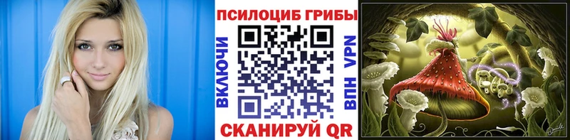 Галлюциногенные грибы Cubensis  Жуков 