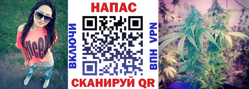 Конопля SATIVA & INDICA  Жуков 